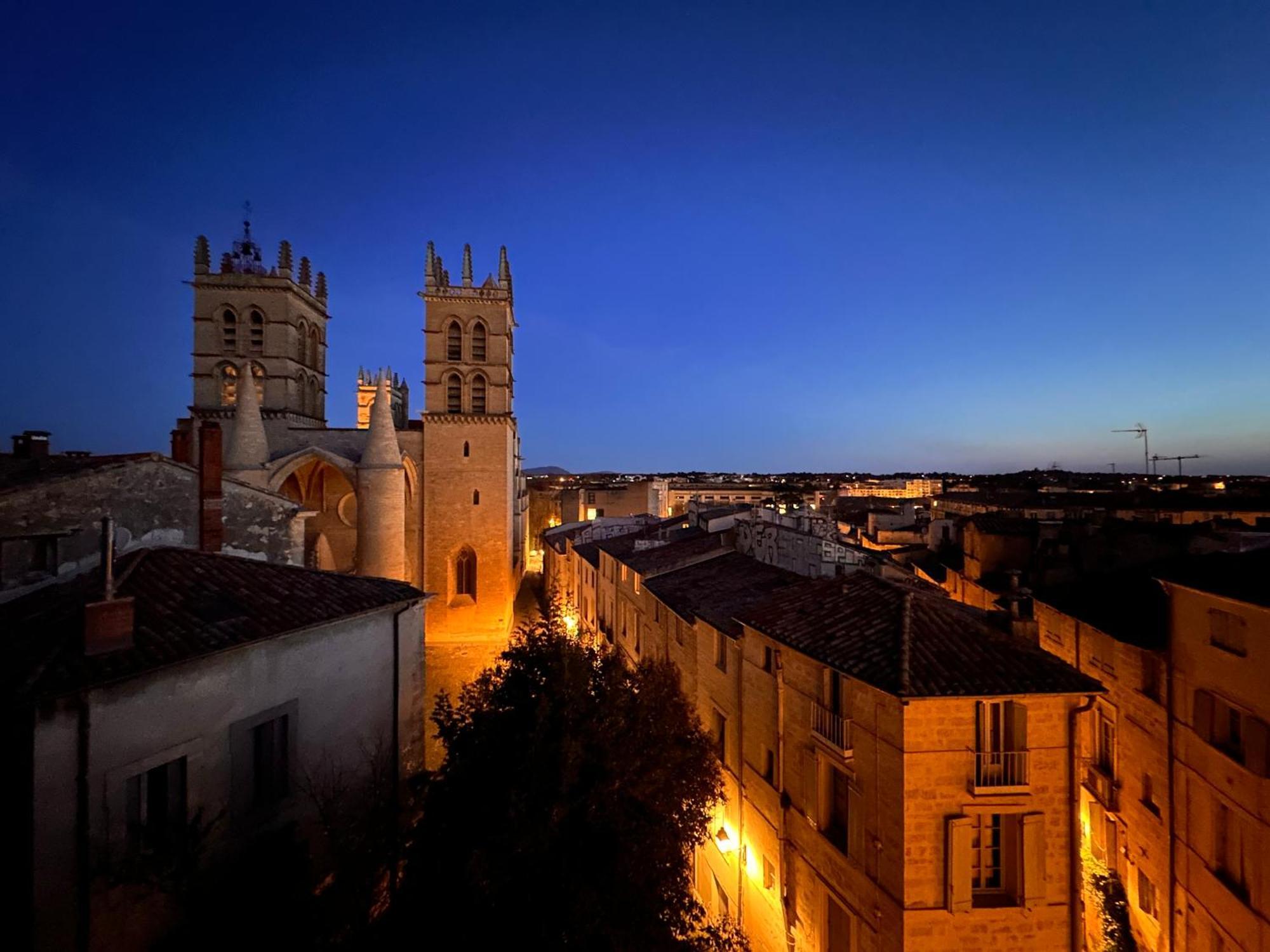 La Terrasse, Vue Sur Les Toits De Montpellier Apartment Exterior photo