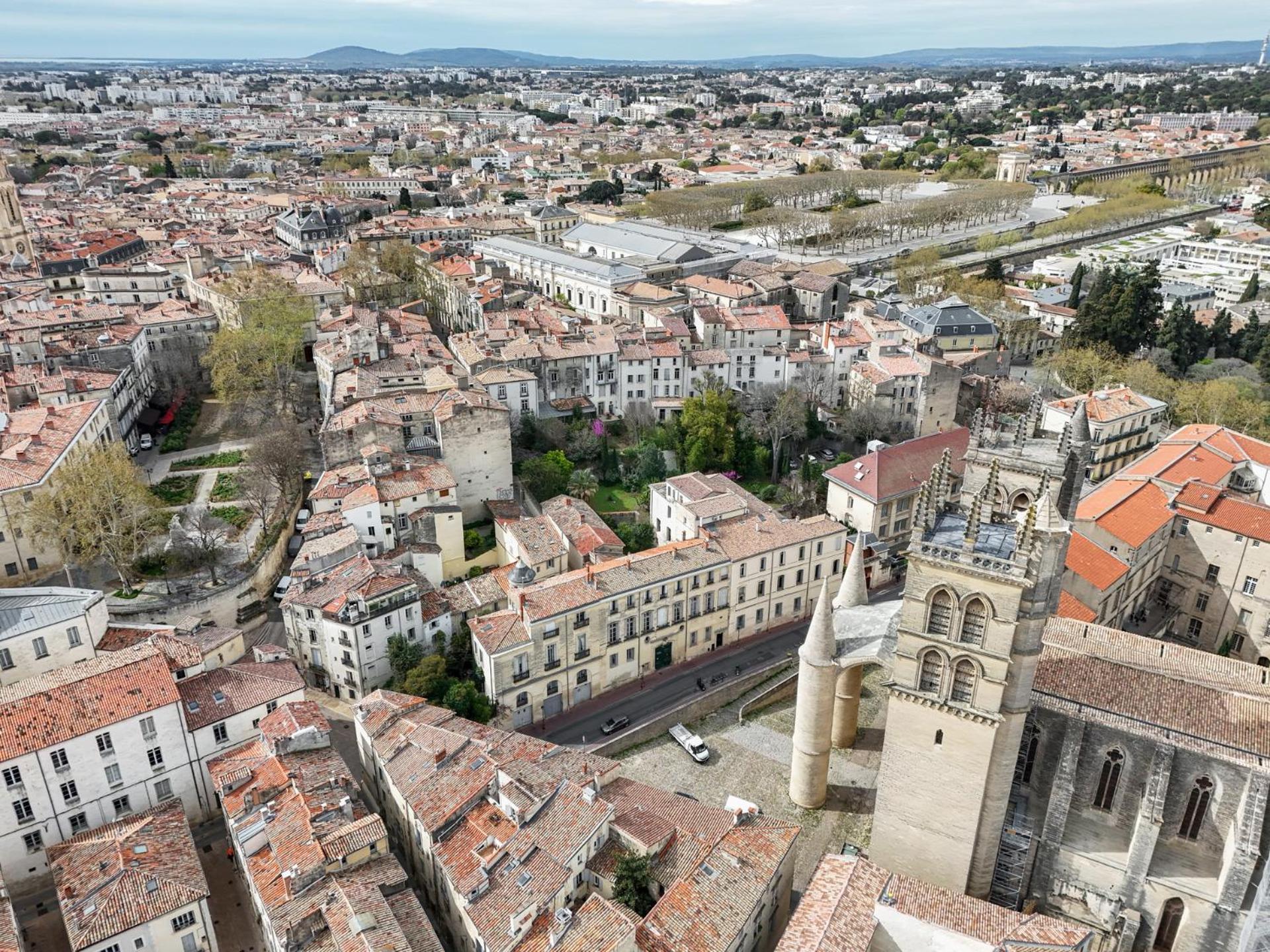 La Terrasse, Vue Sur Les Toits De Montpellier Apartment Exterior photo